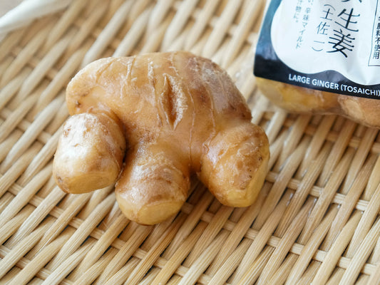 旬楽膳 大生姜(土佐一)【冷蔵】