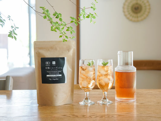 有機ハニーブッシュオレンジ ティーバッグ 10P