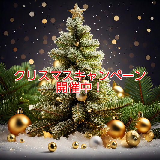 日頃の感謝を込めて、クリスマスキャンペーンを開催しています！