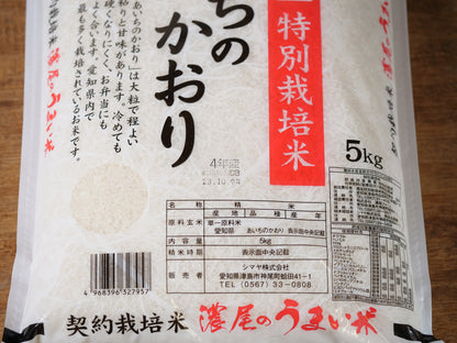 無洗米　特栽愛知県産　あいちのかおり