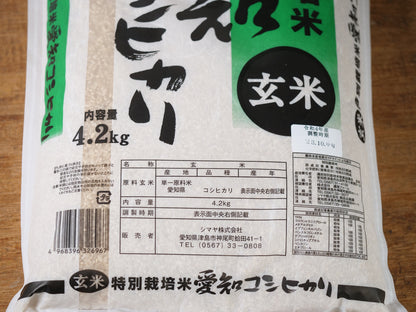 特別栽培米　愛知県産コシヒカリ　玄米