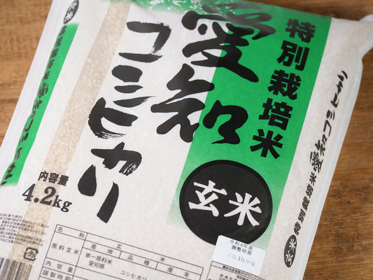 特別栽培米　愛知県産コシヒカリ　玄米