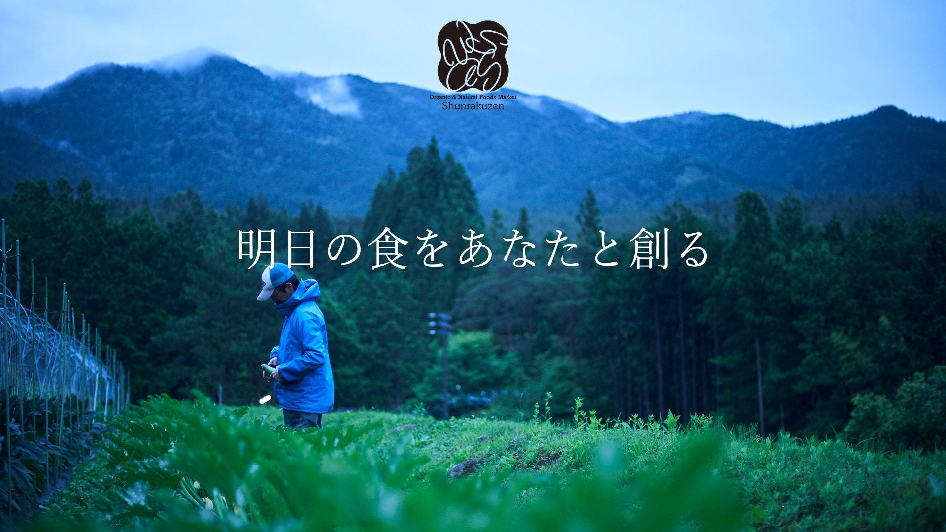 山々に囲まれた畑での収穫風景